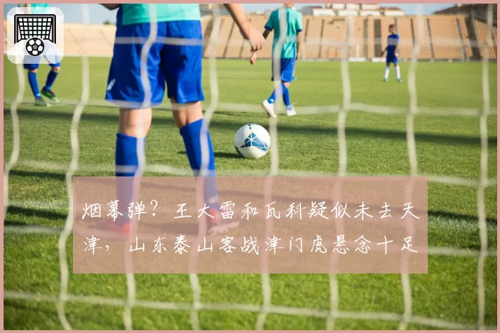 烟幕弹？王大雷和瓦科疑似未去天津，山东泰山客战津门虎悬念十足