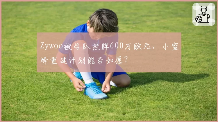 Zywoo被母队挂牌600万欧元,小蜜蜂重建计划能否如愿?